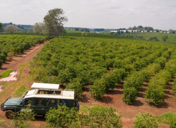 Karunguru Farm Tour with Lunch