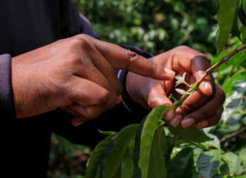 Karunguru Farm Tour without Lunch